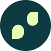 Mobile Friendly Website
